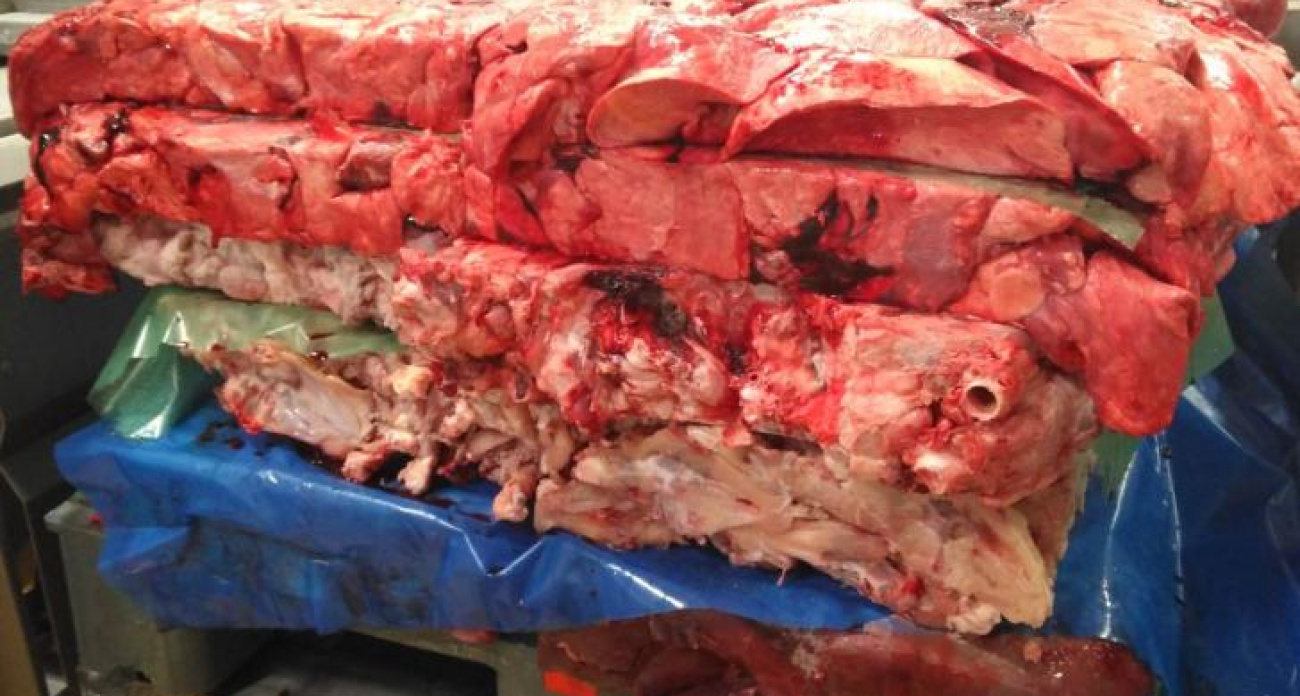 Курская область увеличила экспорт мяса в Гонконг на 25%: отправлено 700 тонн за полгода