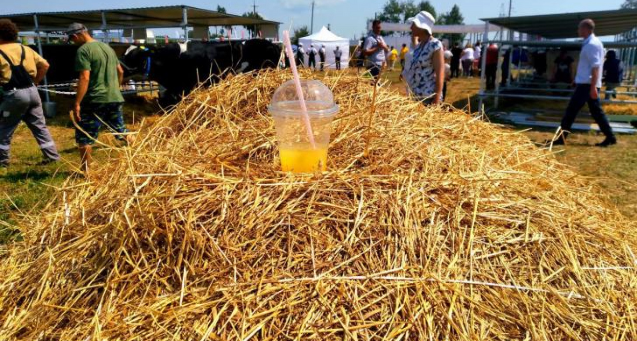 Курскую область накроет опасная жара до 36 градусов на три дня