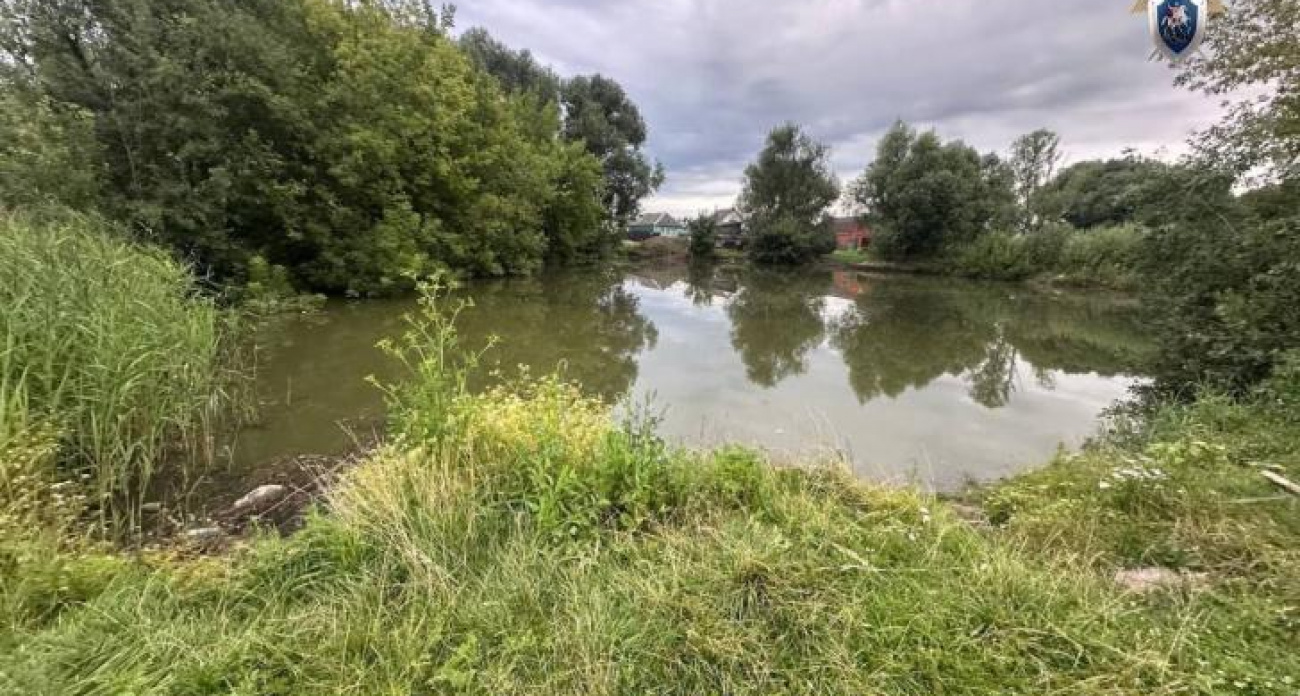 Годовалая девочка утонула в водоеме, выбежав из дома в Курской области
