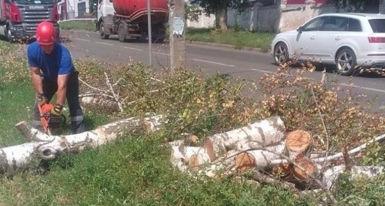 22 упавших дерева и сорванные крыши: Курск восстанавливается после разрушительного ливня
