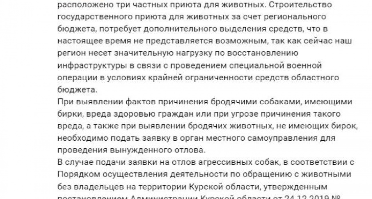 После трёх нападений собак на людей в Курске власти отказались от строительства приюта
