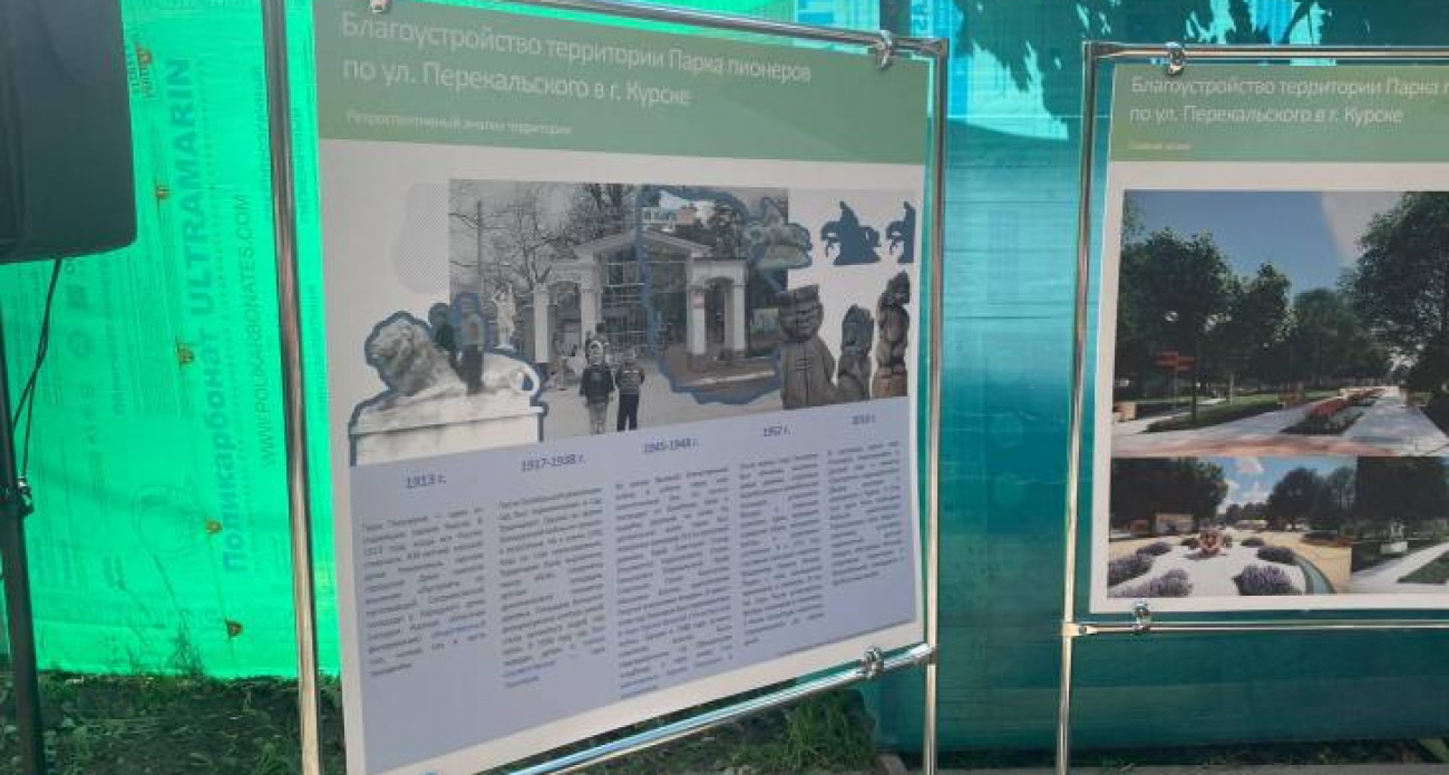 Жительница переулка Блинова обвинила власти в уничтожении 200-летнего зеленого оазиса Детского парка