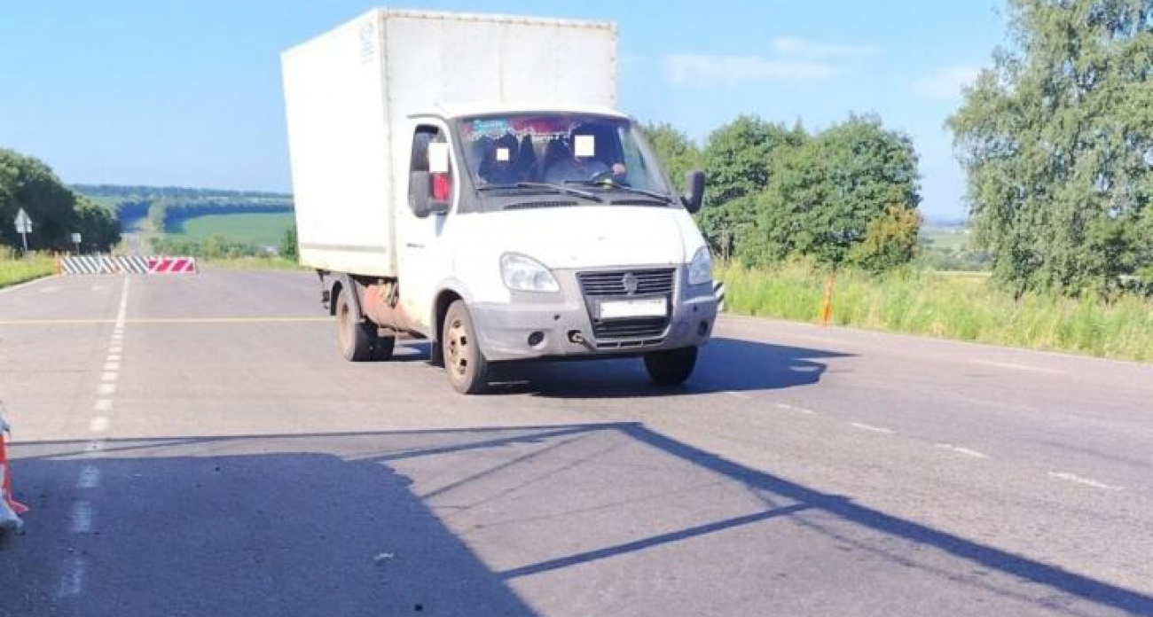 Полиция задержала грузовик с краденым скотом на 700 тысяч рублей в Курской области