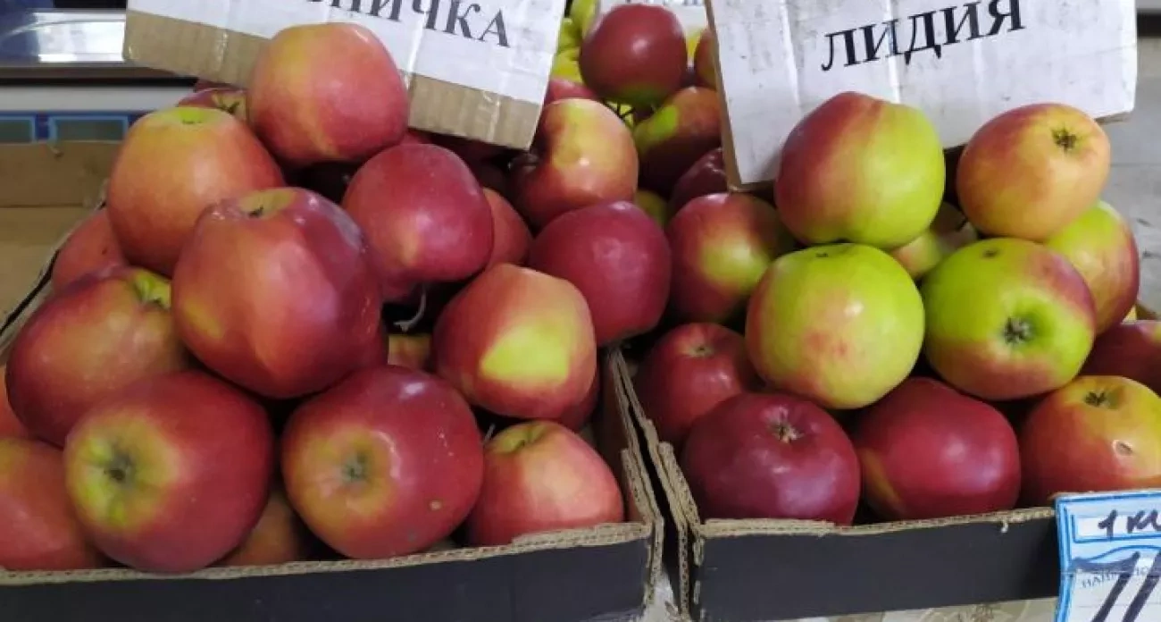 Курск: главные новости за 3 сентября - ярмарка "Осень" открылась, директор школы объяснила низкие зарплаты учителей