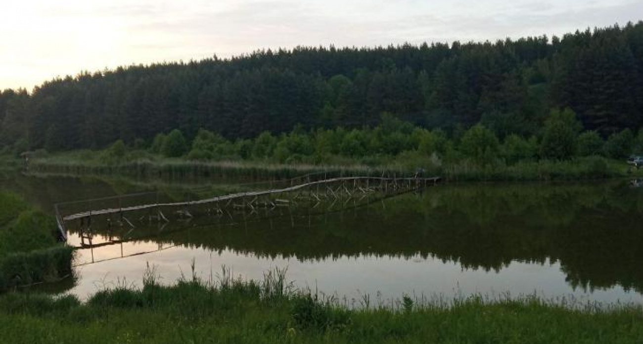 Восемь браконьеров попались на незаконной охоте на бобров и норок в Курской области