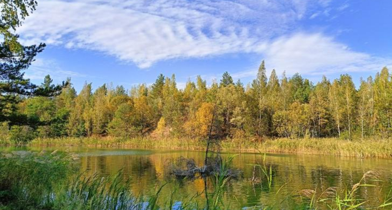 В Курской области 10 сентября температура поднимется до +24° без осадков