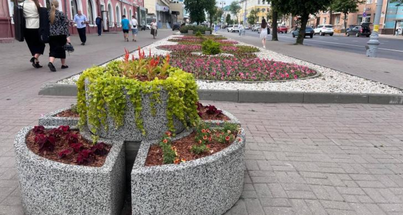 Курские власти потратили 14 млн на проект расширения тротуаров на Ленина, который завернула госэкспертиза