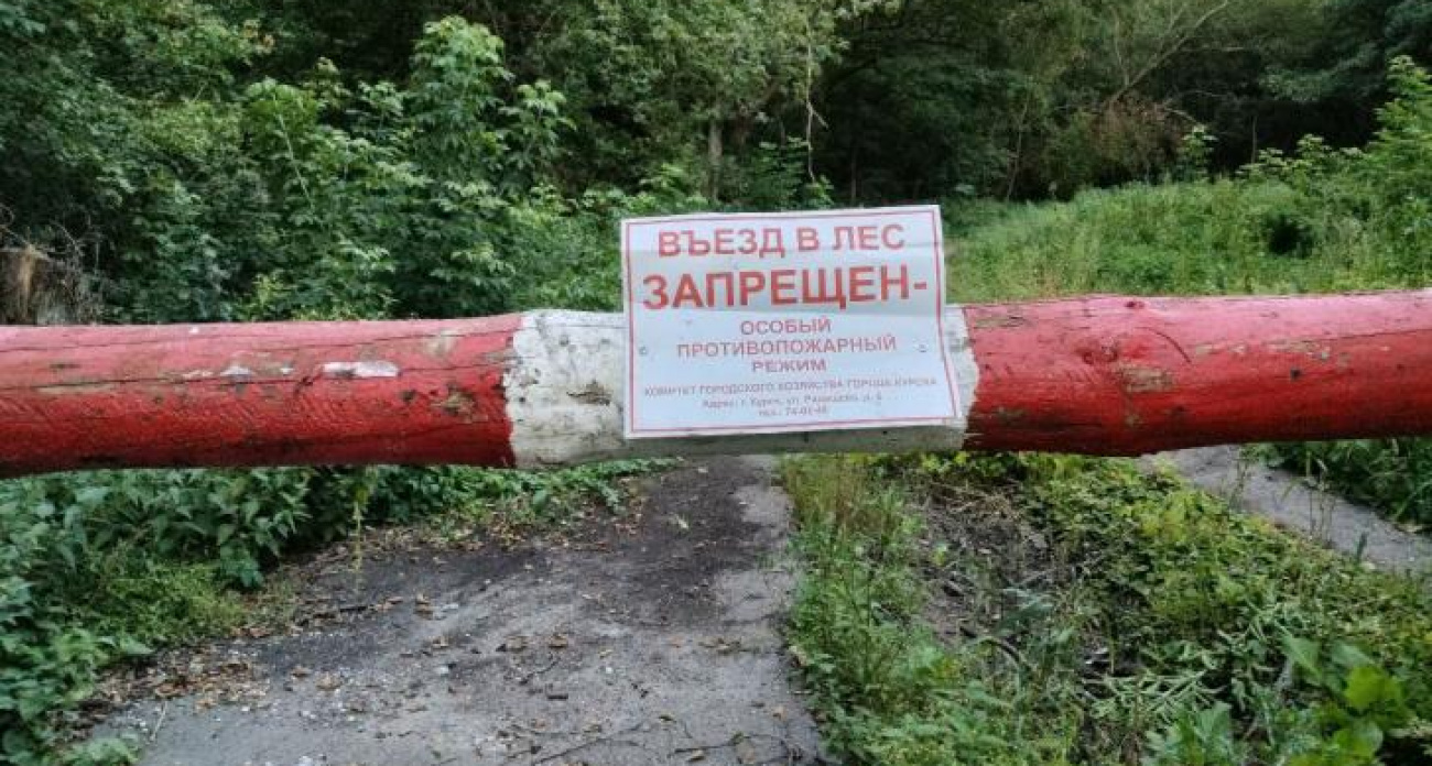 В Курской области закрывают леса и удваивают штрафы до 800 тысяч рублей