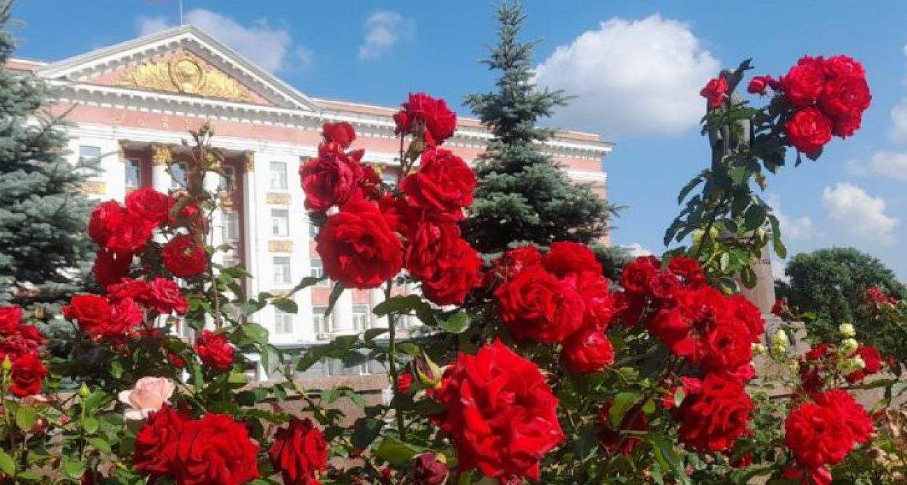 Хинштейн победил с 86,92%, но политолог предупредил о "завышенных надеждах"
