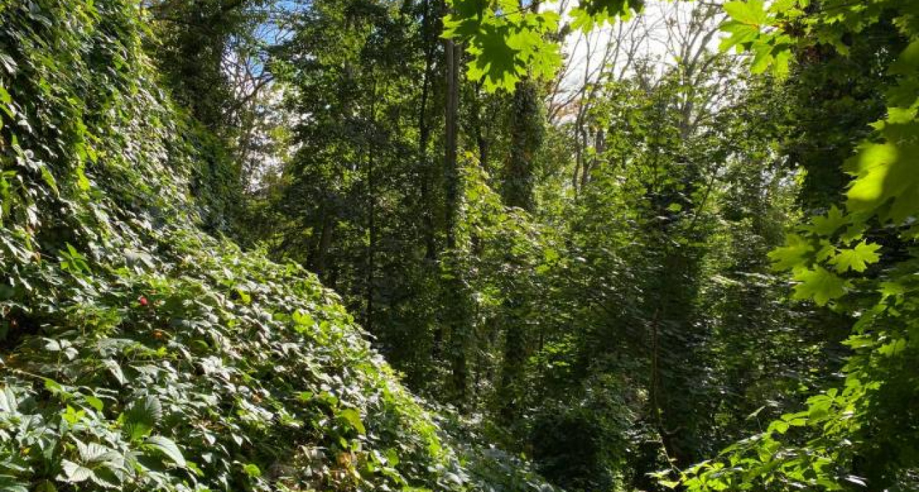 В Курской области 23 сентября температура подскочит до +29° без единой капли дождя