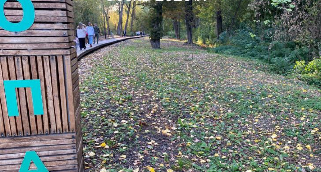 50 лип от Смирнова и Памфиловой засохли через год после торжественной высадки в Курске