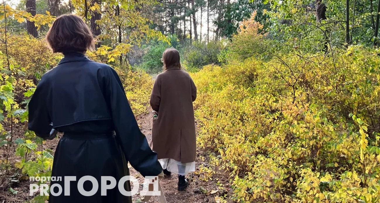Звёзды выделили 4 знака зодиака: Тельцам открыт путь к деньгам, а Львов ждёт страстная встреча