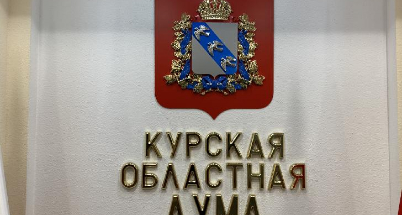 Хинштейн предложил лишать звания Почётного гражданина за статус иноагента и связи с недружественными странами