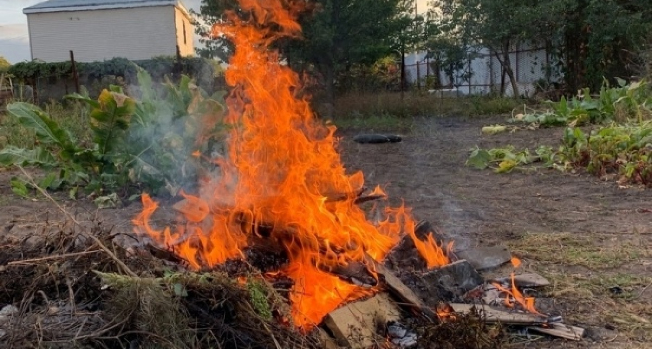 В Курской области разрешили разводить костры, но за нарушения грозят штрафы