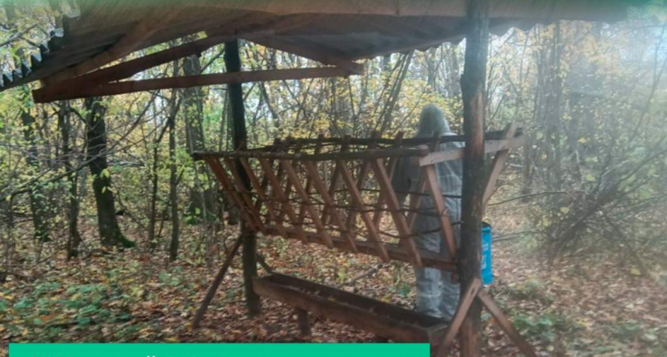 За неделю в Курской области поймали браконьеров с сетями на бобров и норок