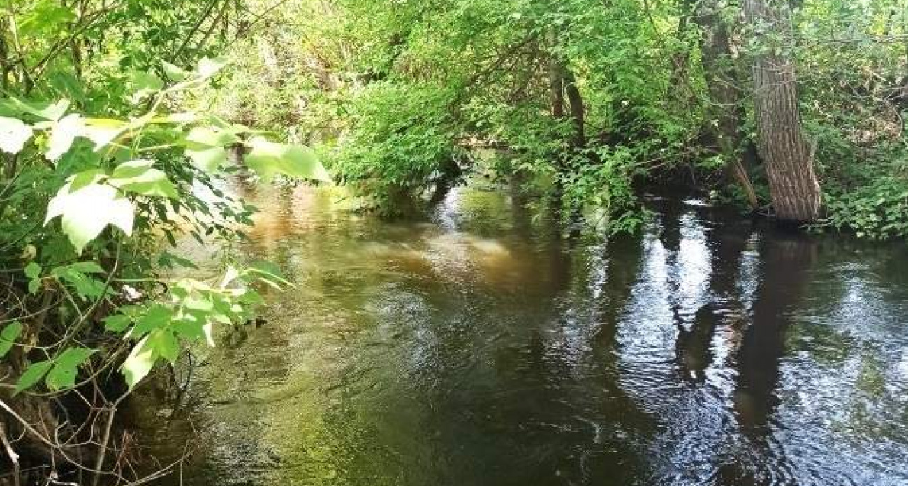 643 гектара уникального болота с краснокнижными видами взяли под охрану в Курской области