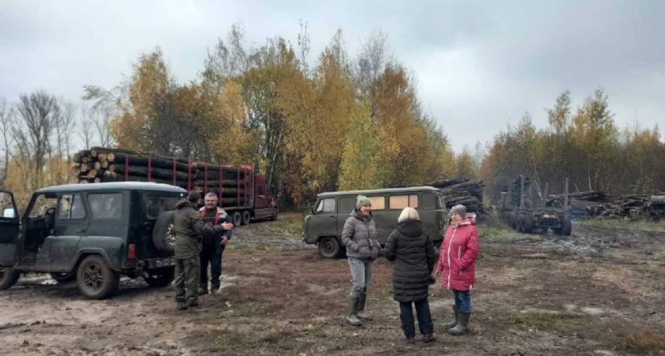 961 рейд по лесам Курской области: что нашли инспекторы на складах древесины
