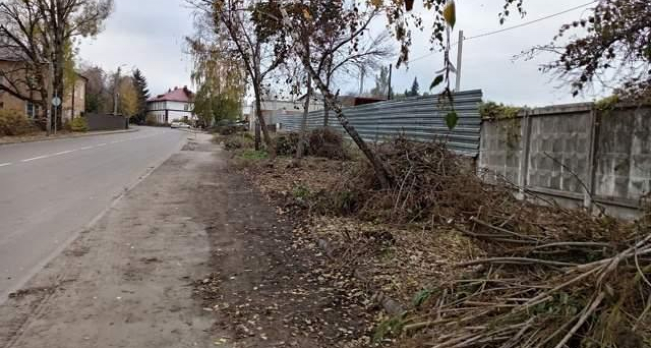 Вырубили поросль и вывезли мусор: в Сеймском округе заставили коммерсантов навести порядок