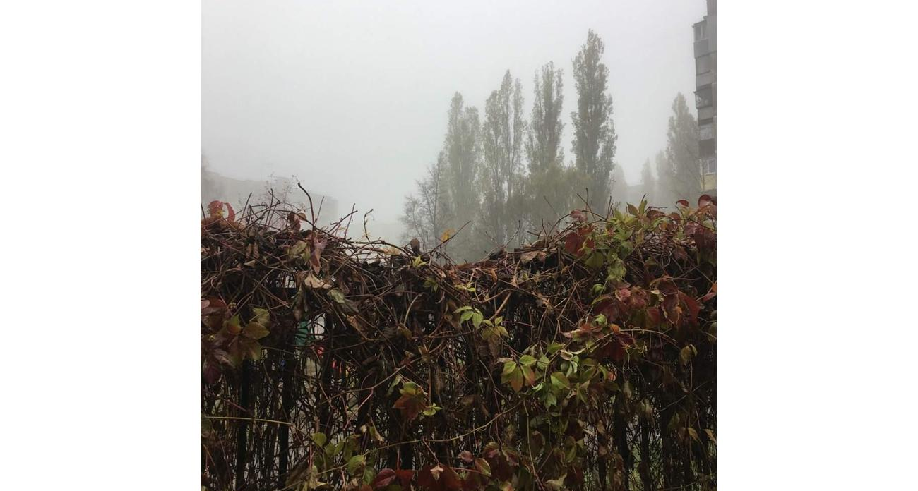 Пасмурно и мокро: курян ждут дожди и северо-западный ветер до 8 м/с