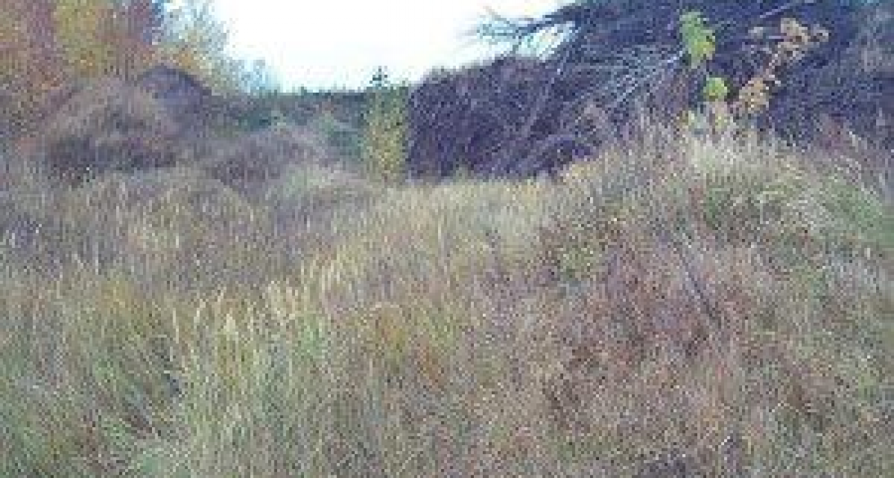 На 82 гектарах сельхозземель в Курской области нашли заброшенный карьер-свалку