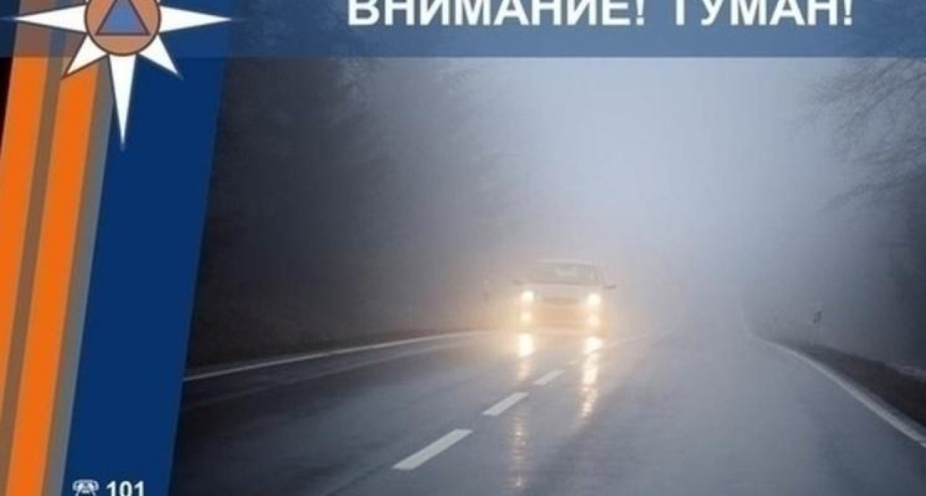 Туман и 11 градусов тепла: какая погода ждёт курян в воскресенье