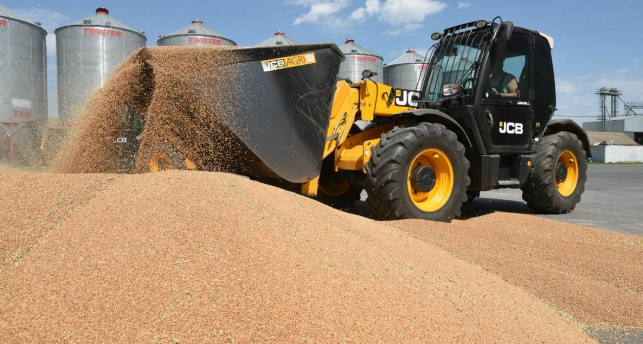 Курские производители завоевали 52 региона: 694 тысячи тонн в пути