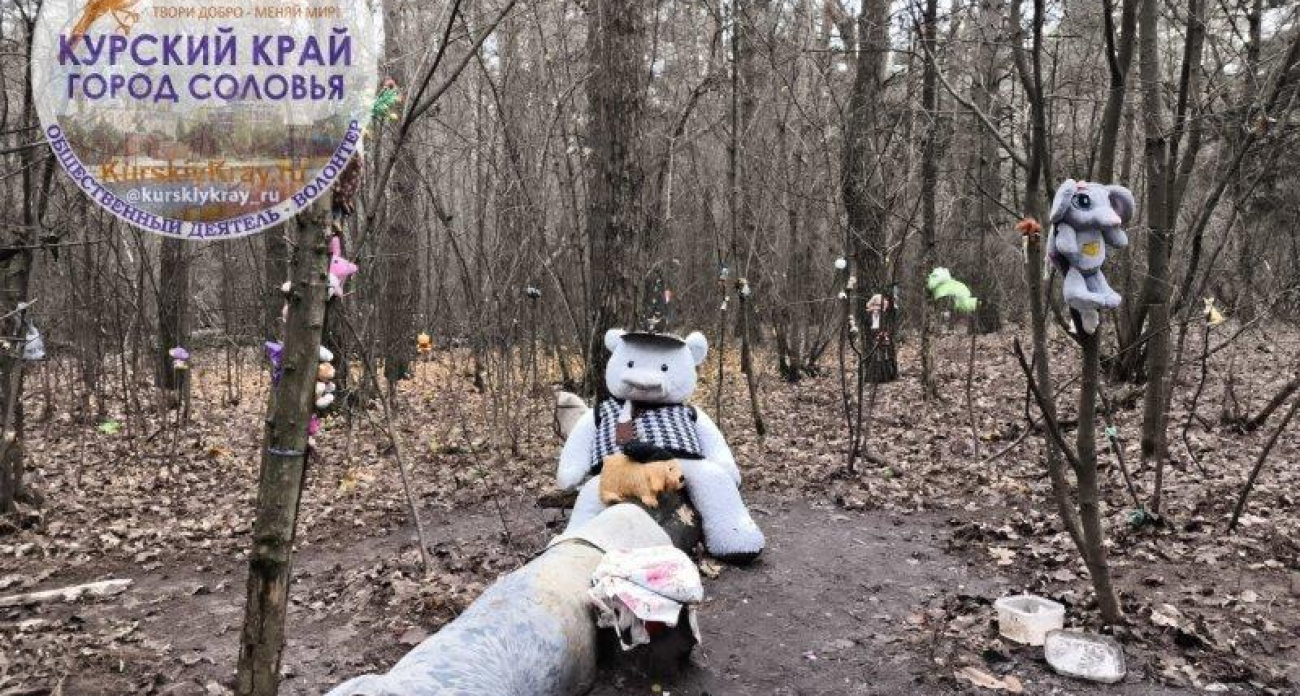 Куклы на ветках и мягкие игрушки в лесу: в Солянке нашли три свалки с признаками сектантских ритуалов