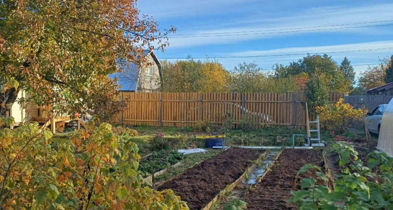 Эти 8 деревьев возле дома притягивают несчастья - садоводы со стажем никогда их не сажают