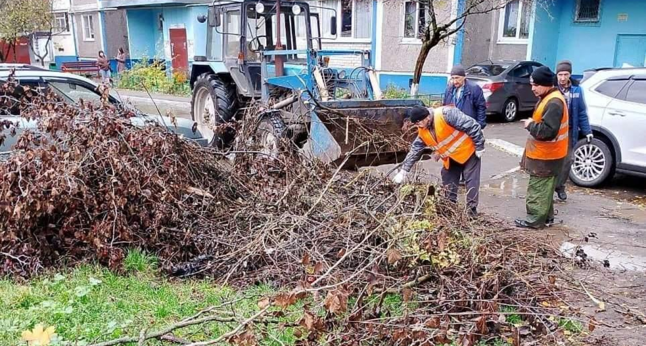 17 нарушений в 60 дворах: Курск выявил массовые проблемы с благоустройством