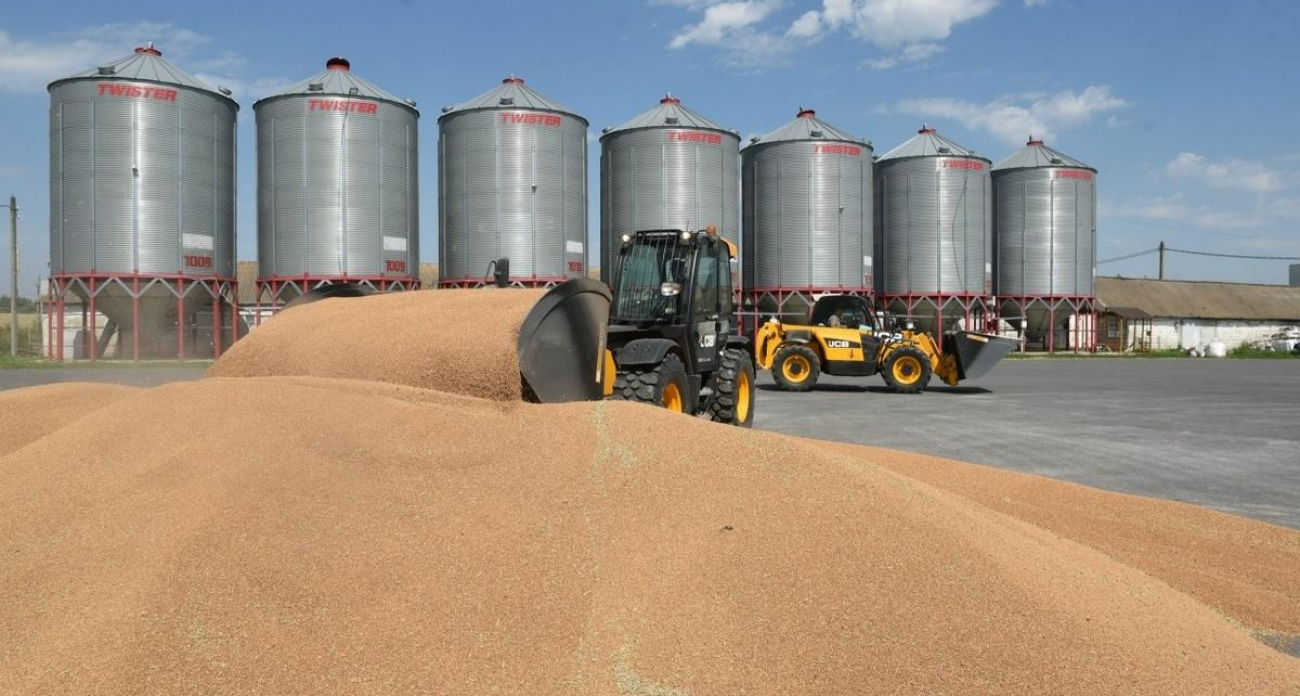 Зерно с удобрениями и крысами: в Курской области 1,4 тыс. тонн хранили с грубыми нарушениями