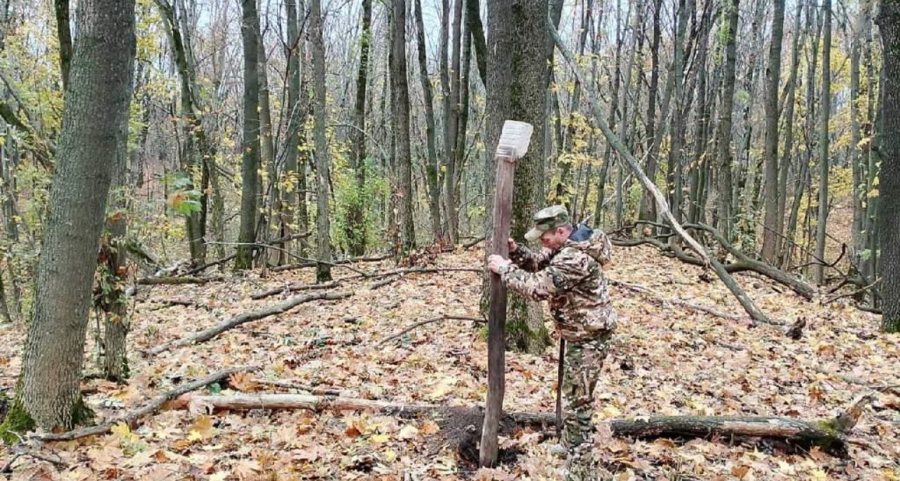 156 рейдов за неделю: в Курской области поймали четырёх браконьеров с сетями на бобров
