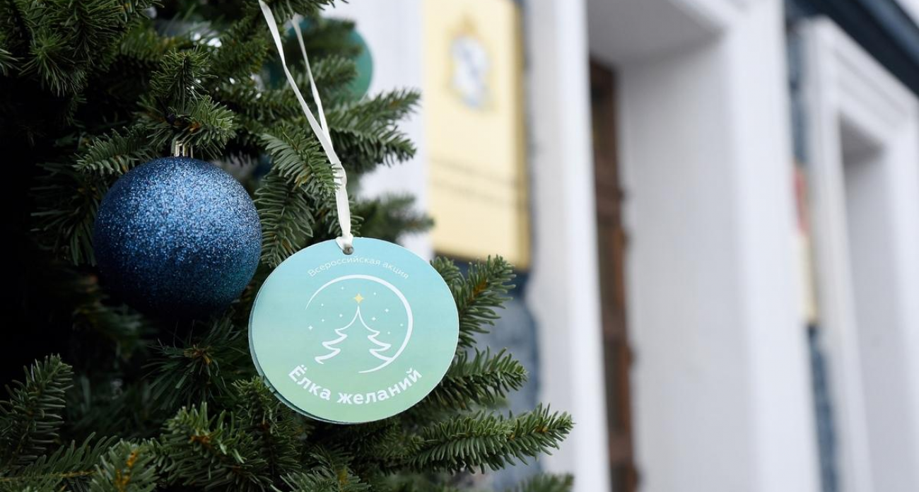 320 тысяч исполненных желаний: «Ёлка желаний-2026» добавила помощь питомцам и одиноким пенсионерам