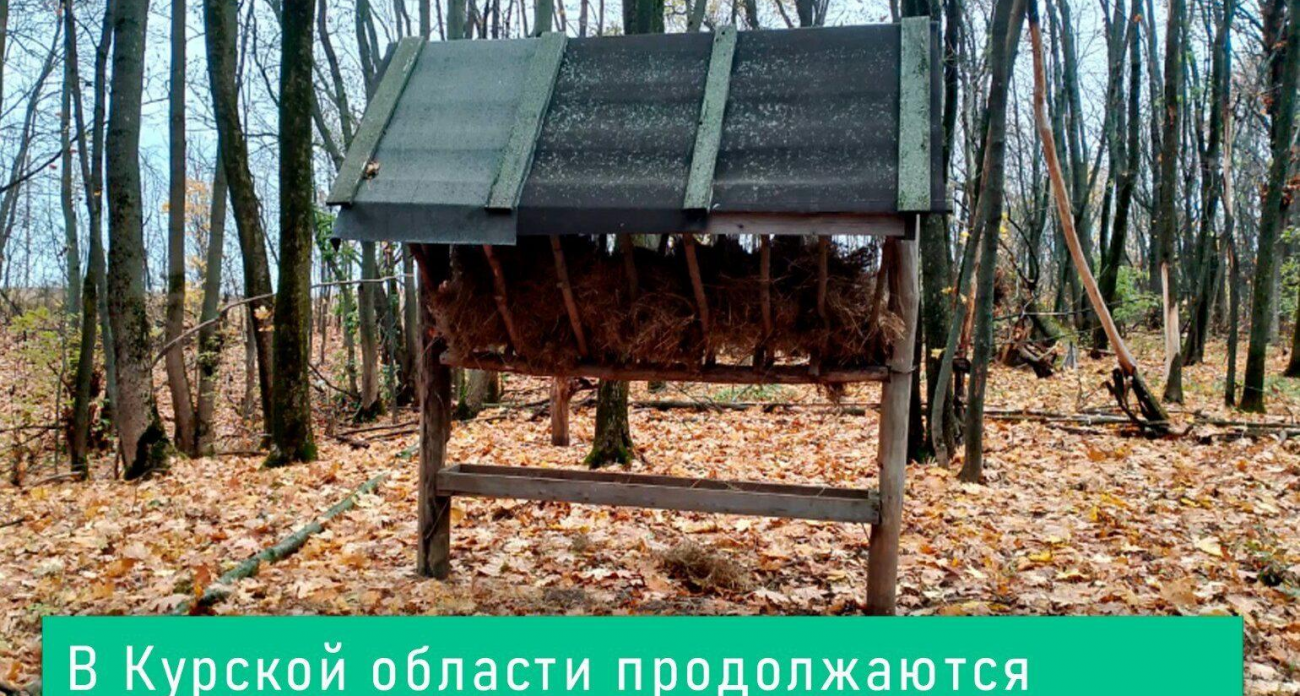 160 рейдов за неделю: в Курской области поймали 7 браконьеров и выложили 3,5 тонны корма