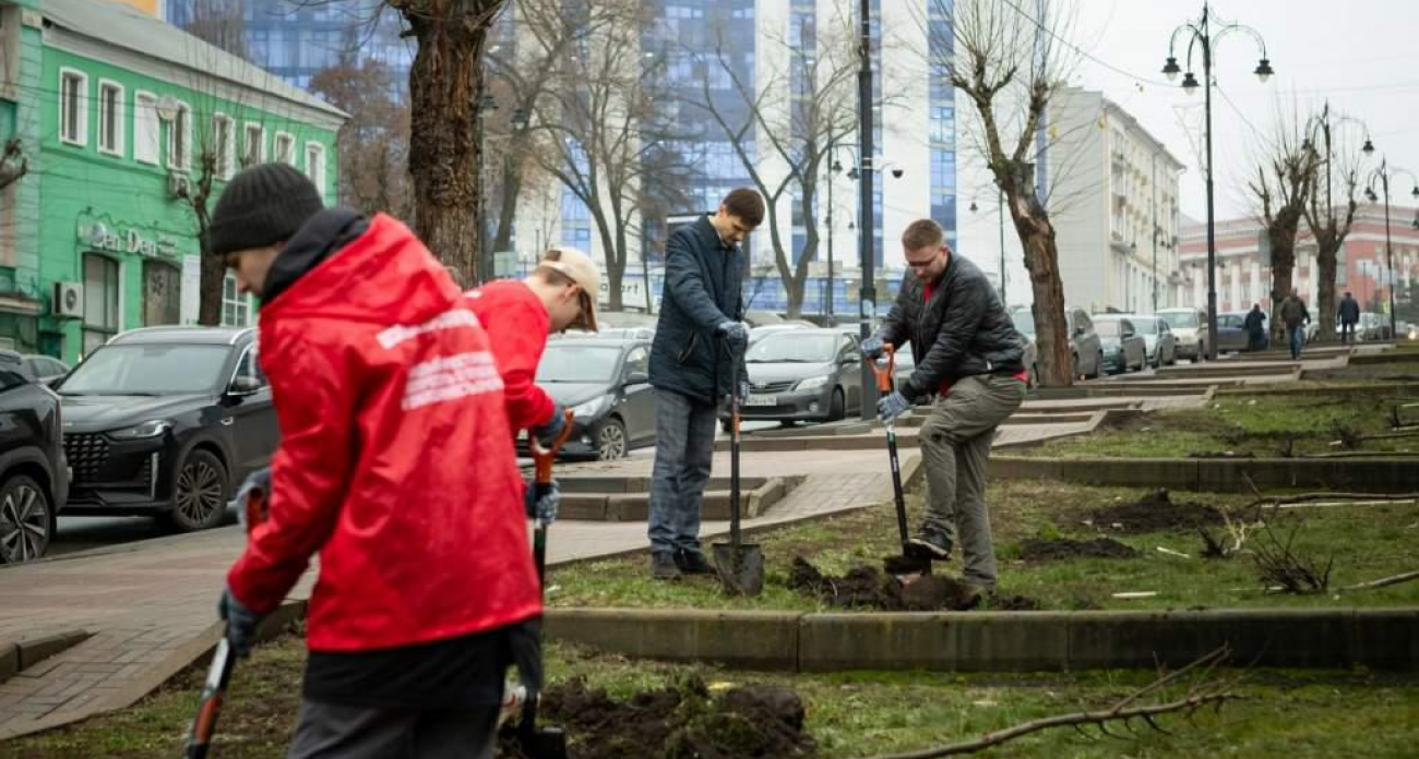 26 молодых лип от губернатора Хинштейна: улицу Дзержинского озеленили силами волонтёров