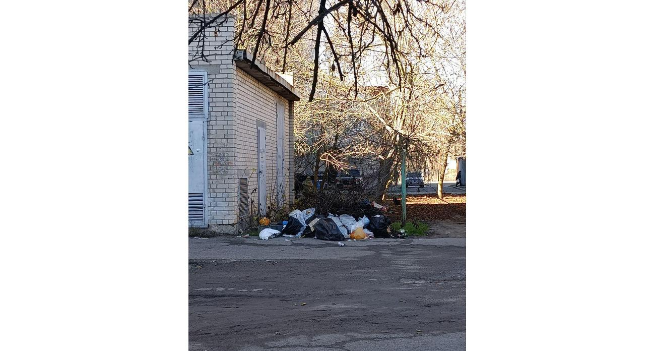 Жительница Скадовска через чат-бот добилась ликвидации свалки в районе «Военка»