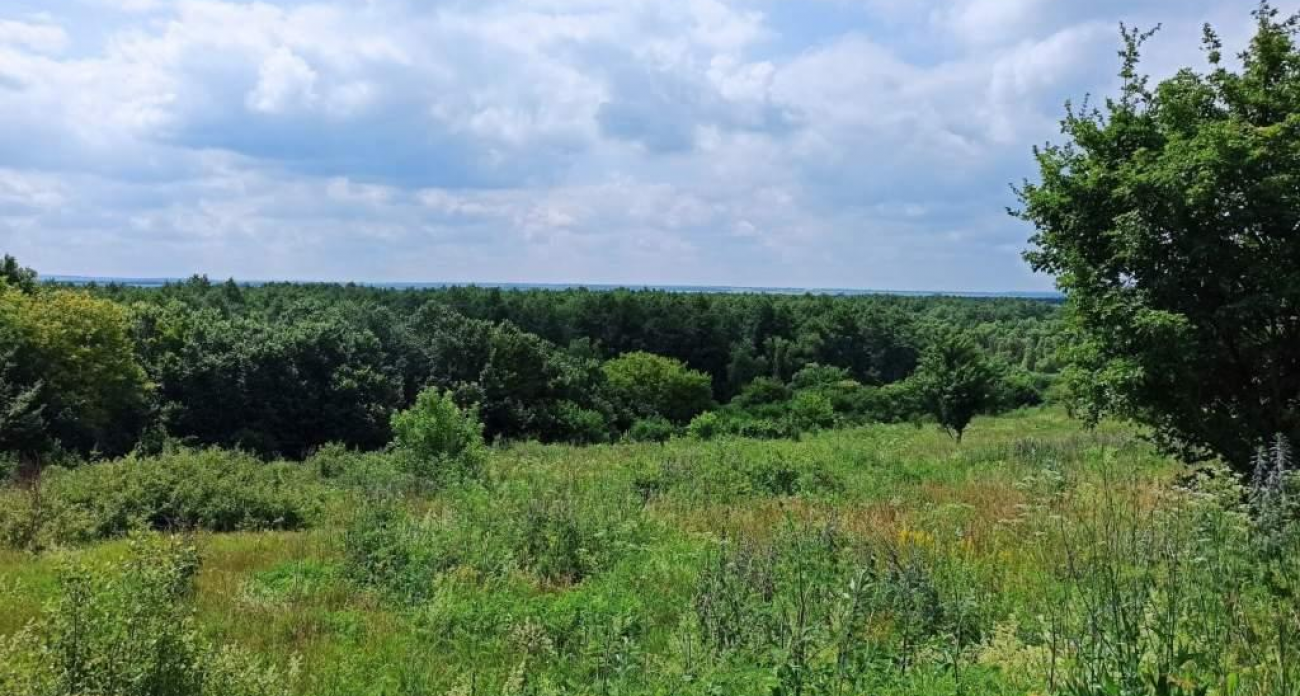 Границы и режим охраны: три природных памятника Курской области теперь в открытом доступе ЕГРН