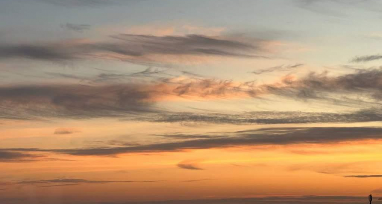 Курян предупредили о тумане и нулевой температуре 30 ноября