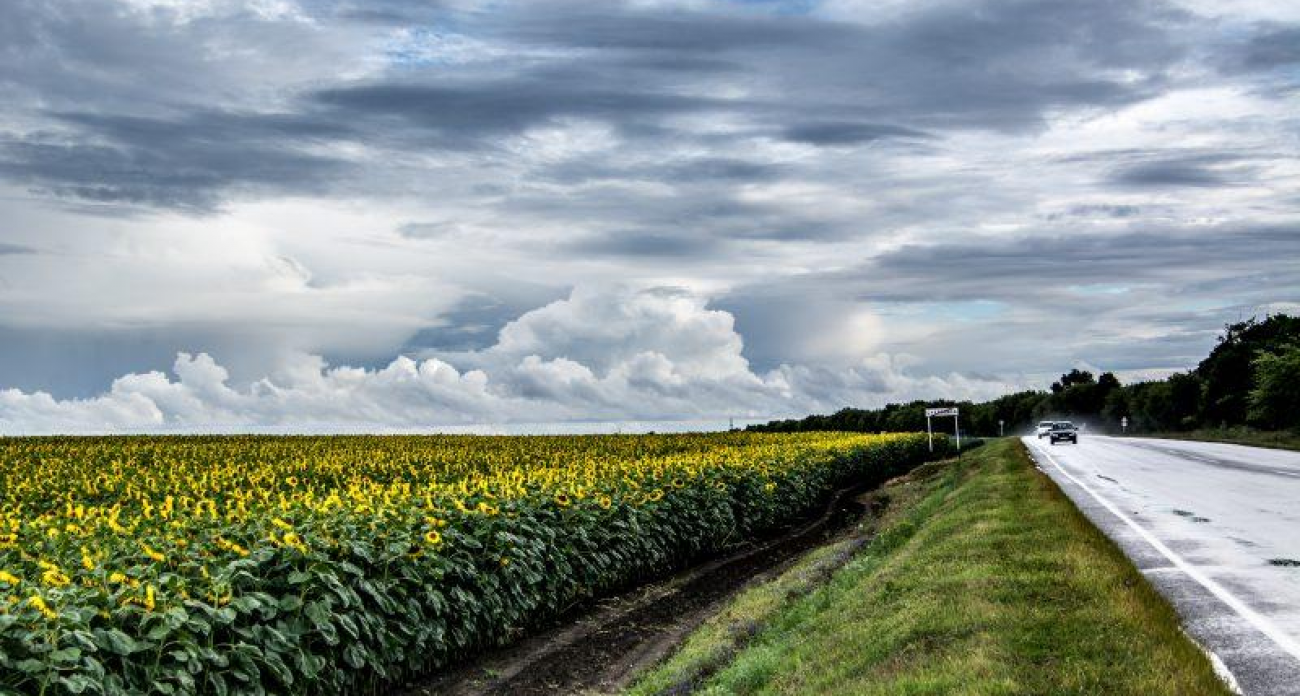 Курск запустил мировой рекордсмен: завод обработает 3 млн тонн масла в год