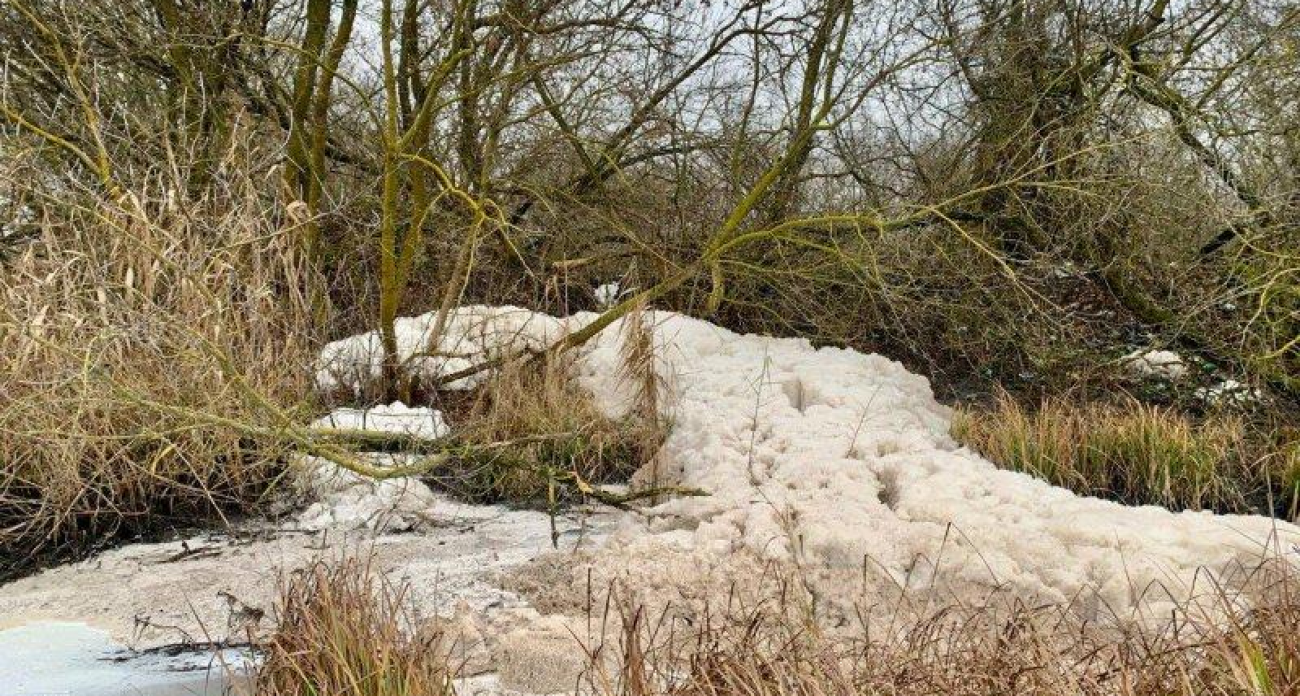 Тёмная вода и пена: Льговский сахзавод сбрасывает стоки в приток Сейма