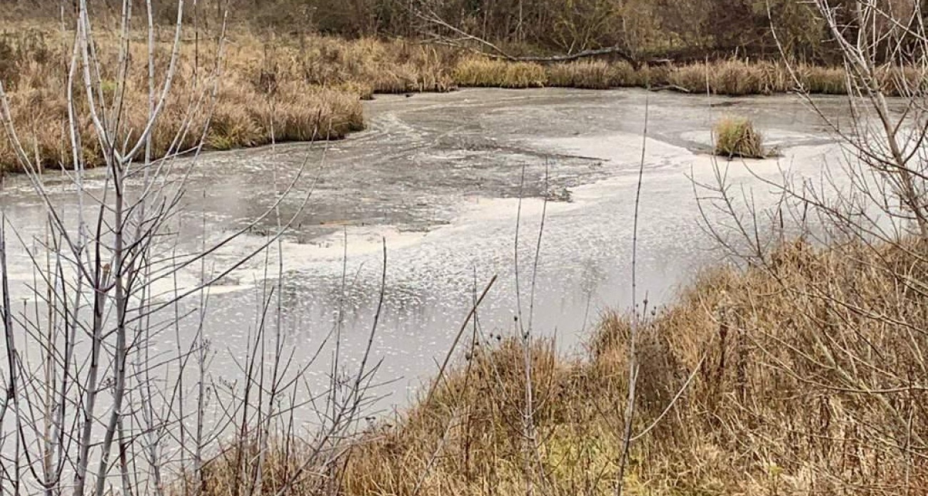 Сахарный комбинат превратил реку в пенную клоаку: прокуратура начала проверку после жалобы в соцсети
