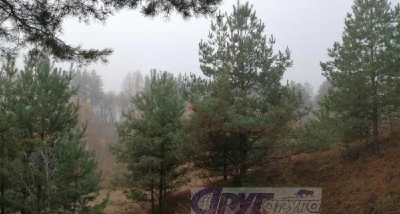 Выходные в Курске: минус до 5 градусов и гололедица на дорогах