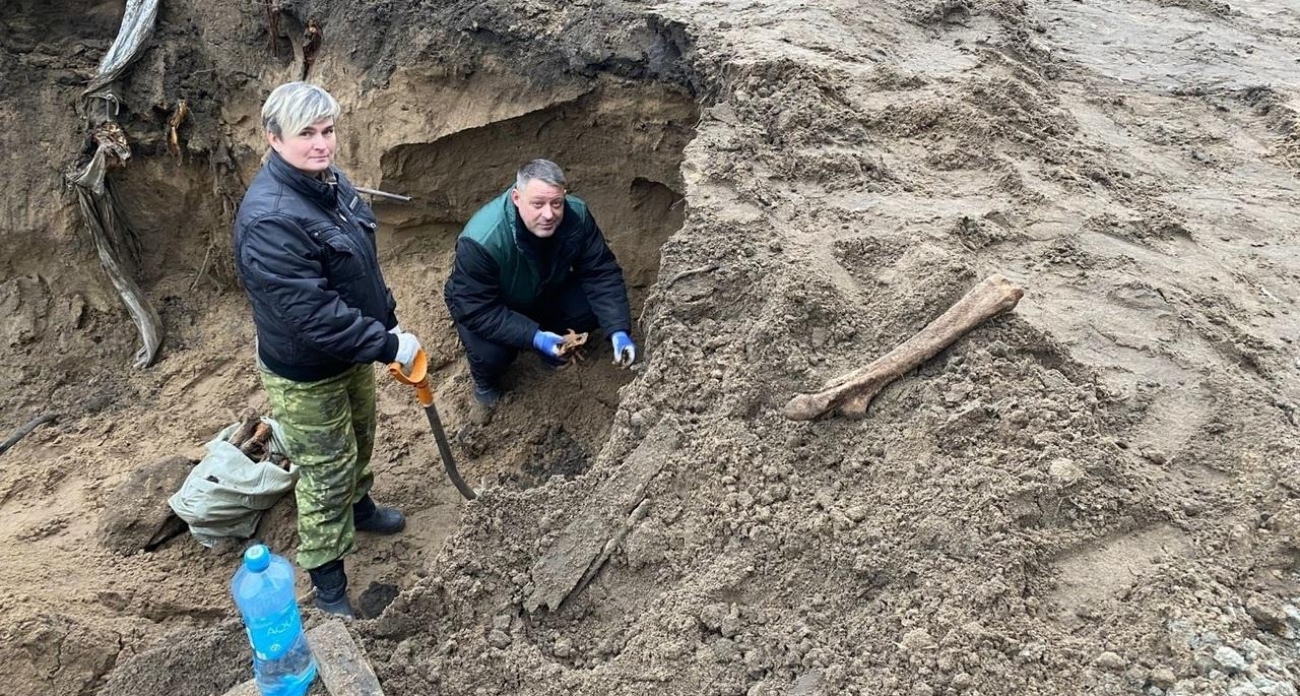 В Курске нашли останки 16 жертв расстрела времен ВОВ на Солянке