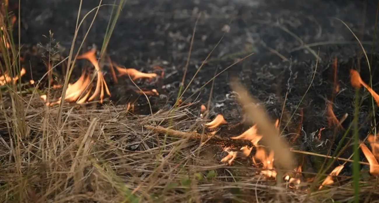 Четыре пожара за сутки в ЛНР: спасатели отчитались об отсутствии жертв 6 декабря