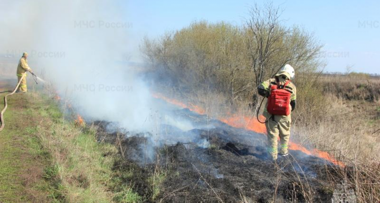 7 контролируемых отжигов за сутки: Курская область получила новую пожарную технику