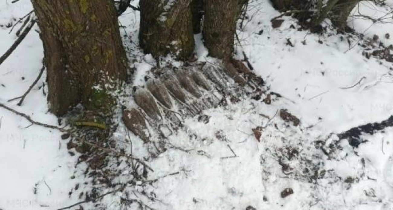 Под Курском обезвредили боеприпасы ВОВ: восемь 82-мм мин и одна 50-мм