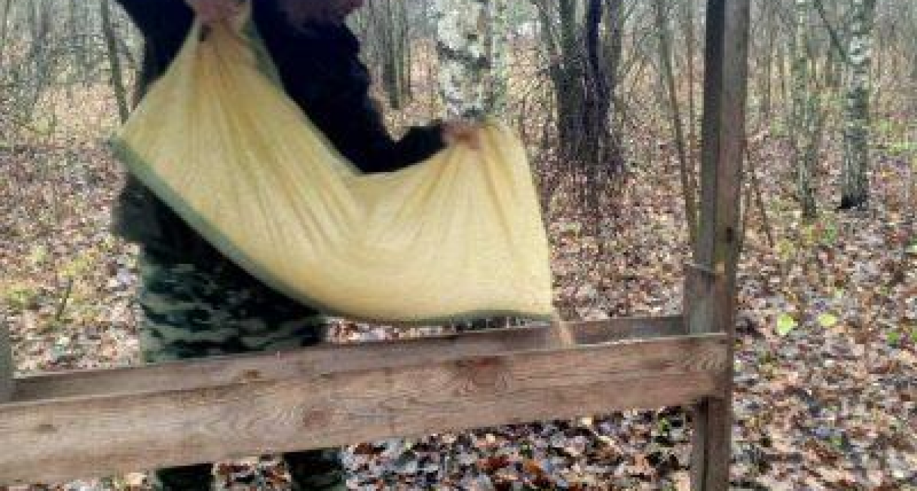 Курск спасает животных: 3 тонны корма за неделю и 5 браконьеров пойманы