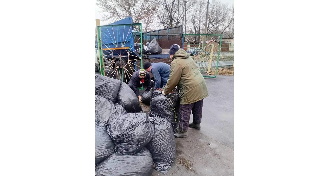 Курские детсады очистили от мусора: компании вывезли 12 кубометров листвы и отходов