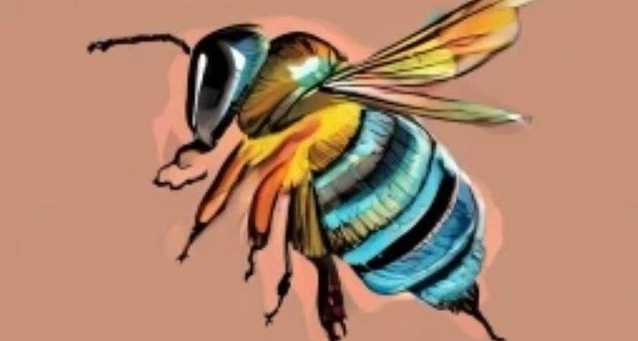 Дважды травили пчел: Курская область борется с нелегальными пестицидами