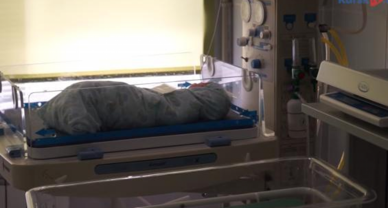 1857 малышей: курский роддом установил рекорд рождаемости в 2025 году