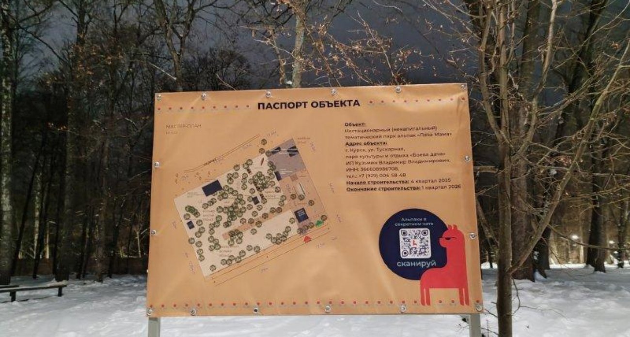 «Пача Мама»: в Курске на старой Боевке появится парк альпак с кроликами и козами